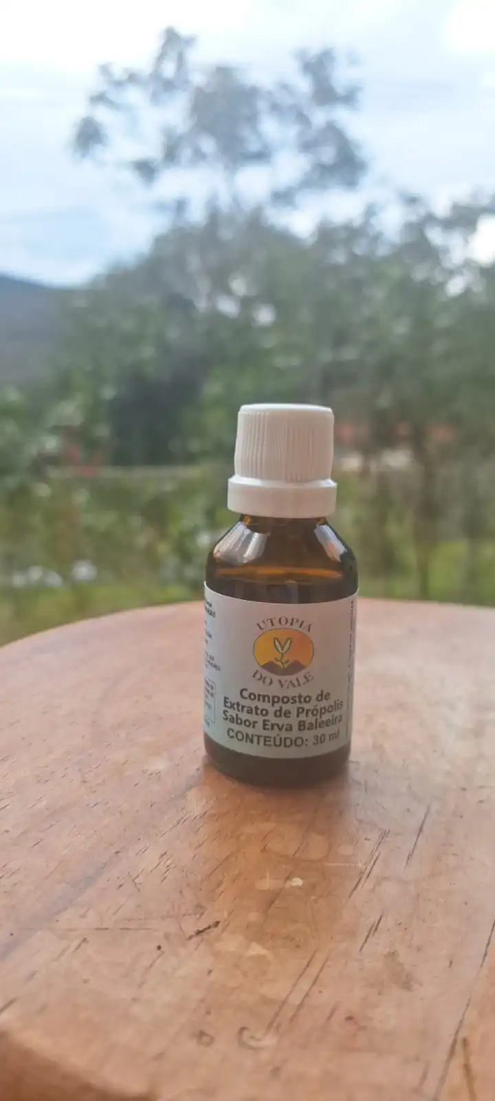 Extrato de Erva Baleeira - Imagem 2